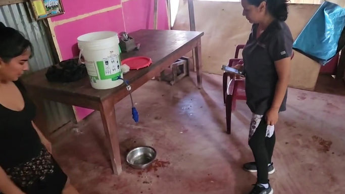 A Day in the Life: Water Filters